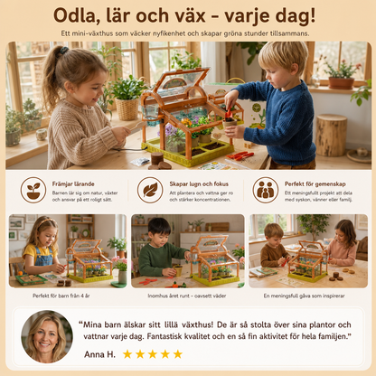 LED Akryl Mini Växthus för Barn – Inomhus Växtodlingsset – Lärande och Roligt
