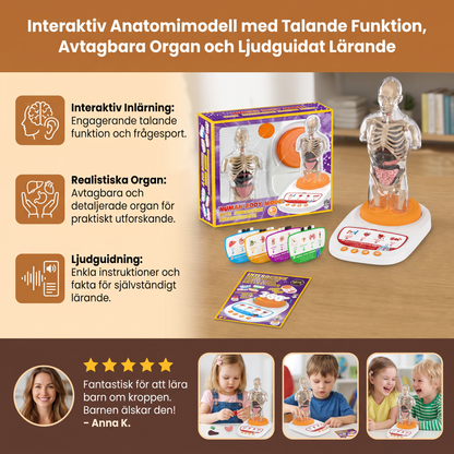 Interaktiv Anatomimodell med Talande Funktion, Avtagbara Organ och Ljudguidat Lärande