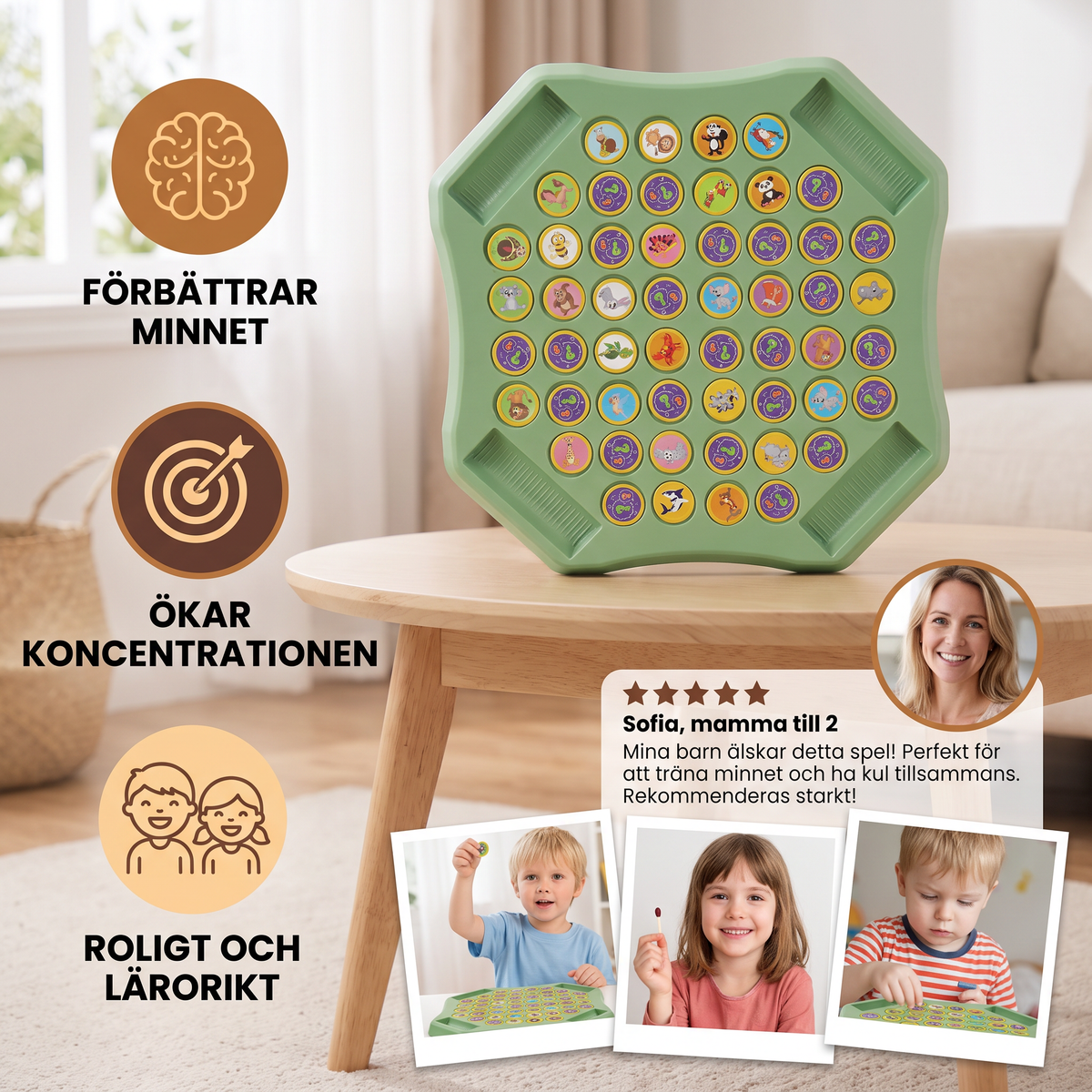 Memoryspelbräde med Djurmynt