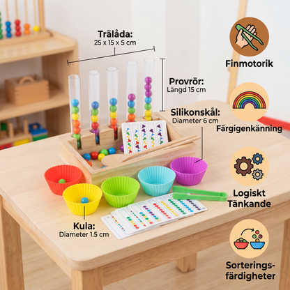 Montessori Provrörslek Med Färger Och Siffror – Lärande Lekset