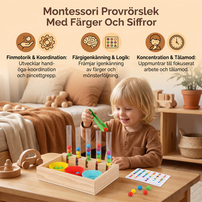 Montessori Provrörslek Med Färger Och Siffror – Lärande Lekset