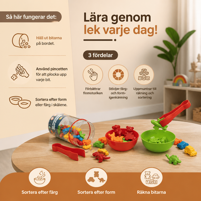 Montessori Färgsorteringsspel