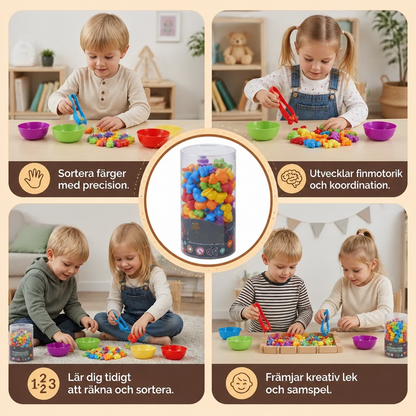 Montessori Färgsorteringsspel